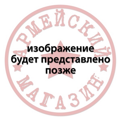 Зажигалка газовая (в подарочной коробке) Russia (орел РФ)
