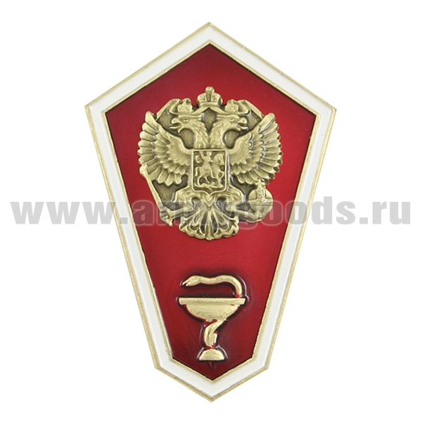 Значок мет. "Гробик" Среднее медицинское образование (латунь, хол.эм. с накладным орлом РФ)