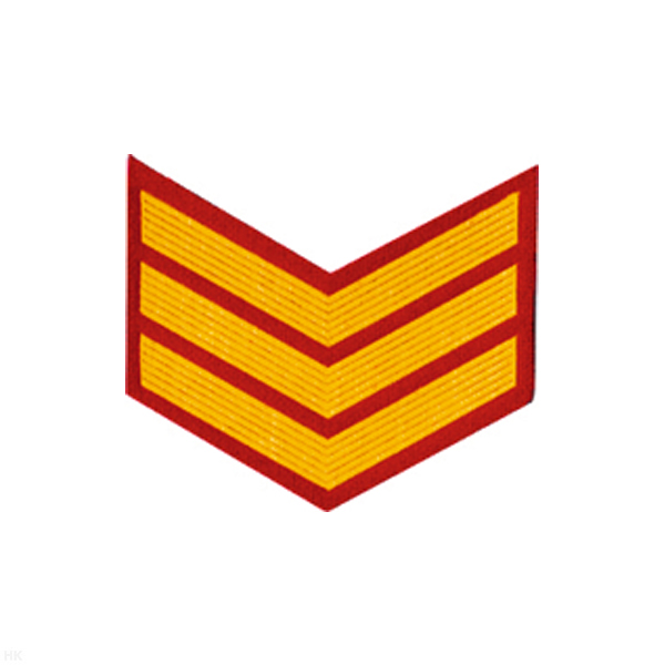 Курсовка пластизол. 3 курс (красн.) галочка