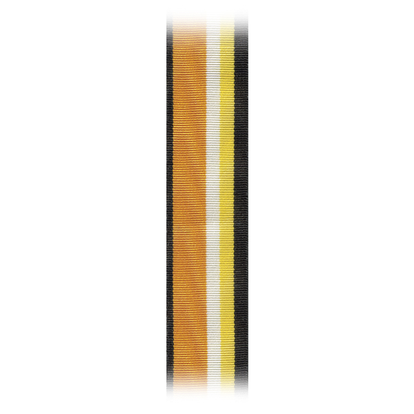 Лента к медали За усердие при выполнении задач радиационно-химической и биологической защиты С-13669