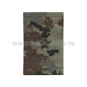 Ф/пог. "пограничная цифра" ПС ФСБ (ткань Rip-Stop) вышит. (майор)