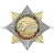 Значок мет. Орден-звезда СУ-35