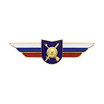 Значок мет. Должностной знак командира учебной в/ч и другого воинского формирования (РВСН) (№77)