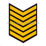 Курсовка пластизол. 6 курс (черн.) галочка