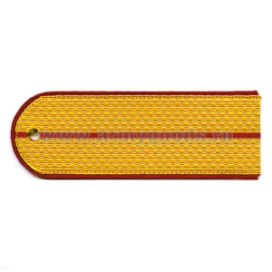 Погоны парад. зол. шелк. 1 оранж. пр. (МЧС)