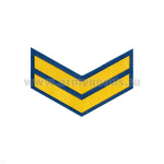 Курсовка пластизол. 2 курс (голуб.)