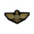 Техзнак канит. лат. Речной флот ("птичка" со штурвалом)