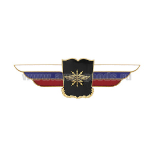 Значок мет. Должностной знак начальника академии войск связи (№95)