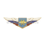 Значок мет. Должностной знак командира полка и ему равной воинской части (ВКС) (№50)