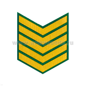Курсовка пластизол. 5 курс (зел.)