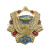 Значок мет. ВДВ (орел на звезде)