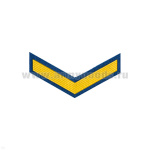 Курсовка пластизол. 1 курс (голуб.)