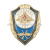 Значок мет. Отличник ВВС (гор.эм., накладки)