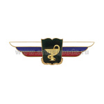 Значок мет. Должностной знак начальника военной академии (медицинские войска)