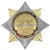 Значок мет. Орден-звезда РЭБ