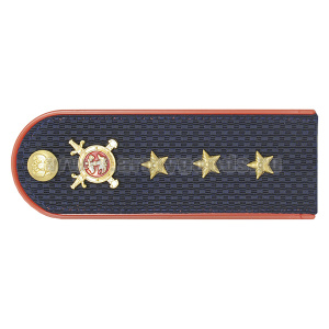 Погоны Полиции (ОВД) на китель, укомплектованные мет. фурнитурой (ст. прапорщик) пластик