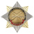Значок мет. Орден-звезда ЗРВ