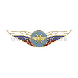 Значок мет. Должностной знак командующего родом сил ВКС (№46)