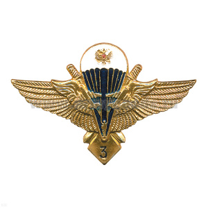 Значок мет. Классность ВДВ 3 класс