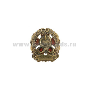 Значок мет. СФ (водолаз на фоне гвоздики ГРУ) мал., на пимсе