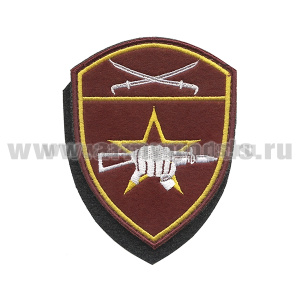 Шеврон вышит. Росгвардия Южный ВО (Спецназ) на липучке