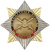 Значок мет. Орден-звезда Сухопутные войска (эмблема нов/обр)