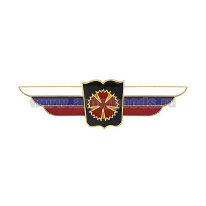 Значок мет. Должностной знак начальника высшего военного училища и профессиональной образовательной организации (развед. воинских формирований, соединений и воинских частей специального назначения) (№90)