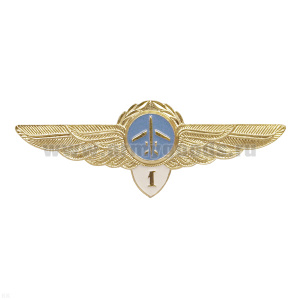 Значок мет. Классность ГВФ: пилот 1 класс