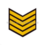 Курсовка пластизол. 4 курс (черн.) галочка