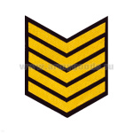 Курсовка пластизол. 5 курс (черн.) галочка