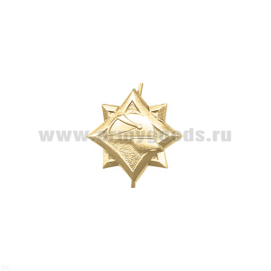 Эмбл. петл. РБ: пожарные зол.