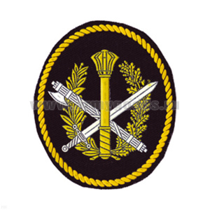 Шеврон пластизолевый Центральный аппарат ФСИН (овал с шестопером, желтый кант)