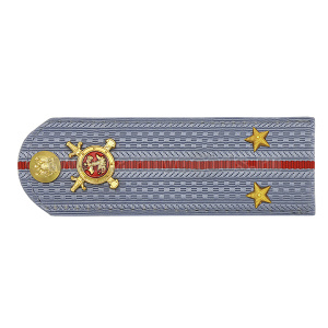 Погоны Полиции (ОВД) на голубую рубашку (без канта), укомпл. мет. фурнитурой (лейтенант) пластик