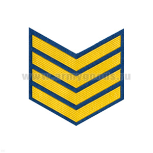 Курсовка пластизол. 4 курс (голуб.)