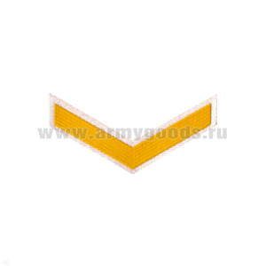 Курсовка пластизол. 1 курс (бел.)
