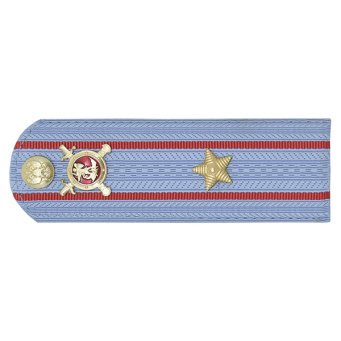 Погоны Полиции (ОВД) на голубую рубашку (без канта), укомпл. мет. фурнитурой (майор) пластик