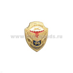 Значок мет. 76 гв. ВДД (серия ВДВ (щит с эмбл. на закрутке)
