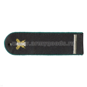 Погоны Россельхознадзор вышитые (длина 14 см, с вышит. малой эмблемой РСХН) с 1 лычкой