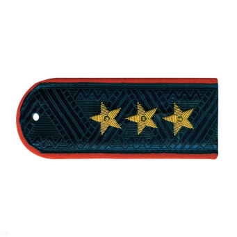00000041520