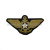 Техзнак канит. лат. Речной флот ("птичка" со звездой)