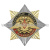 Значок мет. Орден-звезда РВиА (орел)