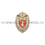 Значок мет. Юридическая служба ВВ МВД России (мал., с накл.)