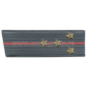 Погоны серые 1 красн. пр., вышит. канителью (капитан) со скосом
