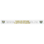 Подворотничок ДМБ ПВО