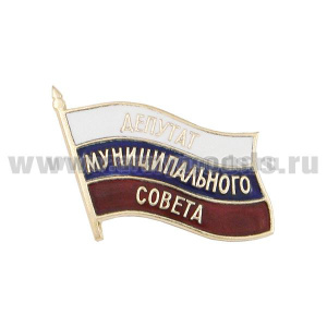 Значок мет. Депутат Муниципального Совета