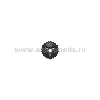 article_08080018N
