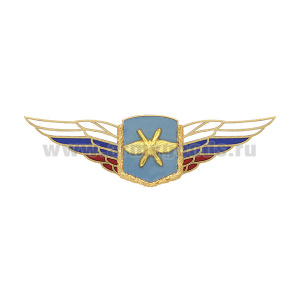 Значок мет. Должностной знак командующего армией и ей равного объединения (ВКС) (№47)