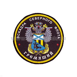 Шеврон шелкография Эскадра СФ Гремящий