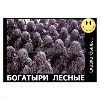 00000036223