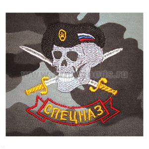 Футболка с вышивкой на груди Спецназ (череп в черном берете) сер. КМФ